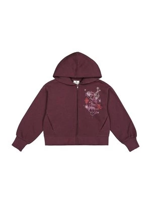 Obrázek produktu Mikina na zip Champion