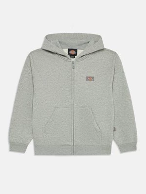Obrázek produktu Mikina na zip Dickies