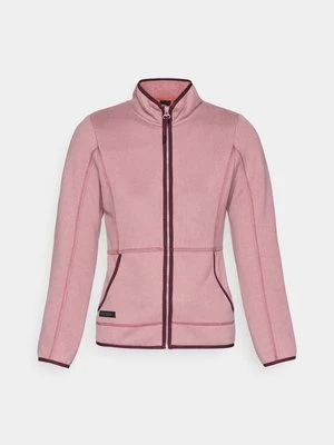 Obrázek produktu Mikina na zip icepeak