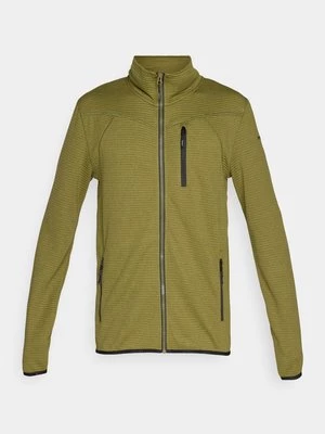 Obrázek produktu Mikina na zip icepeak