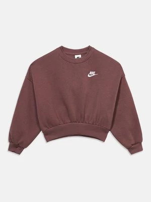 Obrázek produktu Mikina Nike hnědá