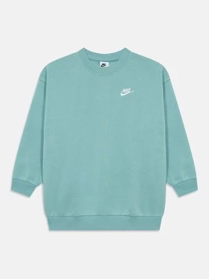 Obrázek produktu Mikina Nike světle zelená
