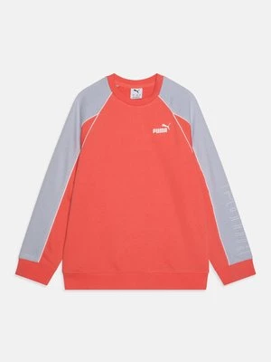 Obrázek produktu Mikina Puma