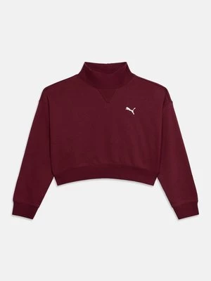 Obrázek produktu Mikina Puma