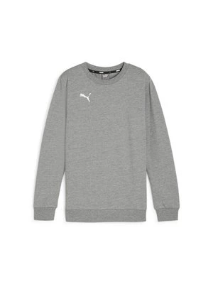 Obrázek produktu Mikina Puma