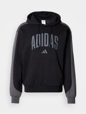 Obrázek produktu Mikina s kapucí adidas Sportswear