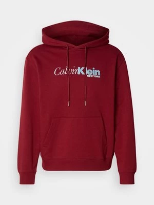 Obrázek produktu Mikina s kapucí Calvin Klein
