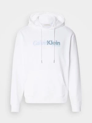 Obrázek produktu Mikina s kapucí Calvin Klein