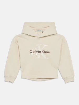 Obrázek produktu Mikina s kapucí Calvin Klein