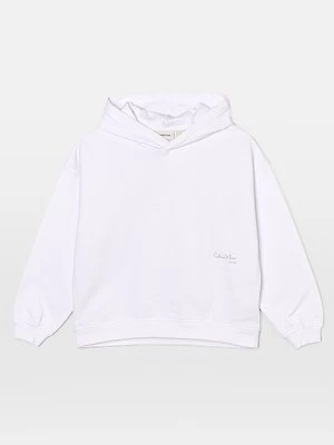 Obrázek produktu Mikina s kapucí Calvin Klein Jeans