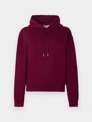 Obrázek produktu Mikina s kapucí Calvin Klein Jeans