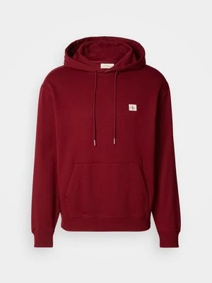 Obrázek produktu Mikina s kapucí Calvin Klein Jeans