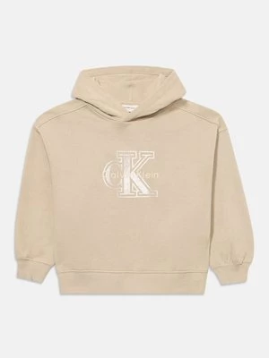 Obrázek produktu Mikina s kapucí Calvin Klein Jeans