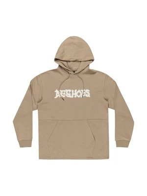 Obrázek produktu Mikina s kapucí DC Shoes
