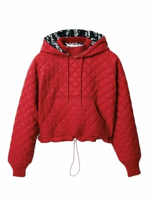 Obrázek produktu Mikina s kapucí Desigual