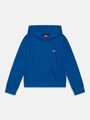 Obrázek produktu Mikina s kapucí Dickies