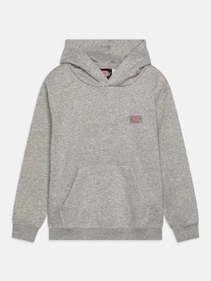 Obrázek produktu Mikina s kapucí Dickies