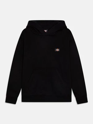 Obrázek produktu Mikina s kapucí Dickies