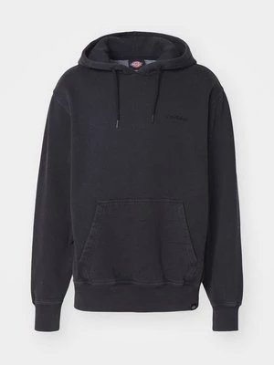 Obrázek produktu Mikina s kapucí Dickies
