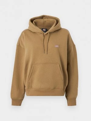 Obrázek produktu Mikina s kapucí Dickies