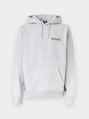 Obrázek produktu Mikina s kapucí Dickies