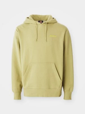 Obrázek produktu Mikina s kapucí Dickies