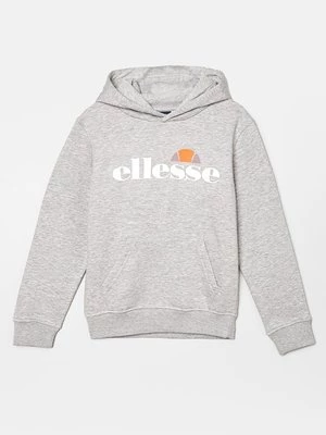 Obrázek produktu Mikina s kapucí Ellesse