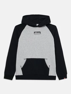Obrázek produktu Mikina s kapucí Ellesse