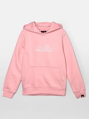 Obrázek produktu Mikina s kapucí Ellesse