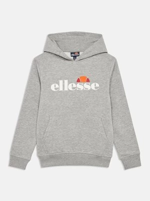 Obrázek produktu Mikina s kapucí Ellesse