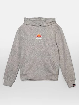 Obrázek produktu Mikina s kapucí Ellesse