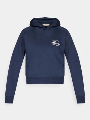 Obrázek produktu Mikina s kapucí Ellesse