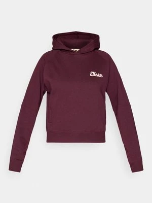 Obrázek produktu Mikina s kapucí Ellesse