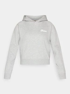 Obrázek produktu Mikina s kapucí Ellesse