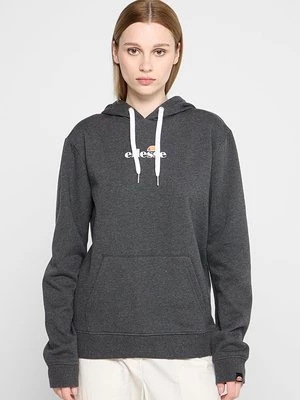 Obrázek produktu Mikina s kapucí Ellesse