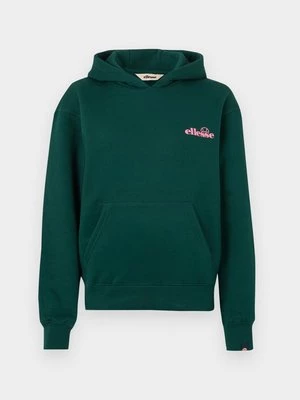 Obrázek produktu Mikina s kapucí Ellesse