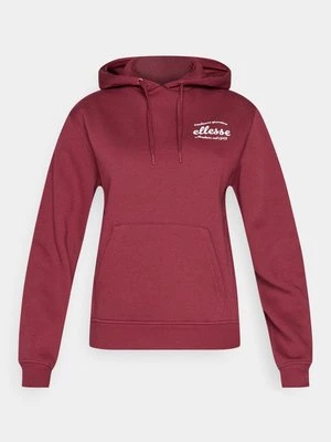 Obrázek produktu Mikina s kapucí Ellesse