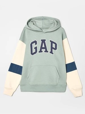 Obrázek produktu Mikina s kapucí GAP