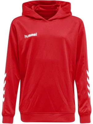 Obrázek produktu Mikina s kapucí Hummel