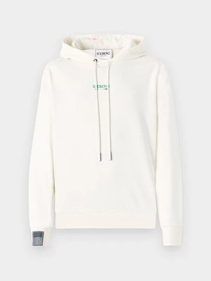 Obrázek produktu Mikina s kapucí Iceberg