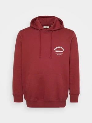 Obrázek produktu Mikina s kapucí jack & jones