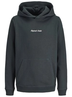 Obrázek produktu Mikina s kapucí Jack & Jones Junior