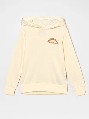 Obrázek produktu Mikina s kapucí Jack & Jones Junior