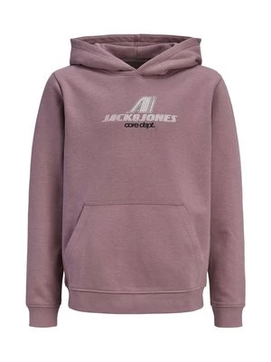Obrázek produktu Mikina s kapucí Jack & Jones Junior
