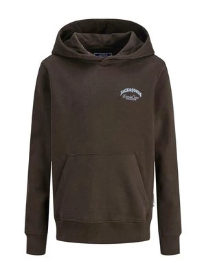 Obrázek produktu Mikina s kapucí Jack & Jones Junior