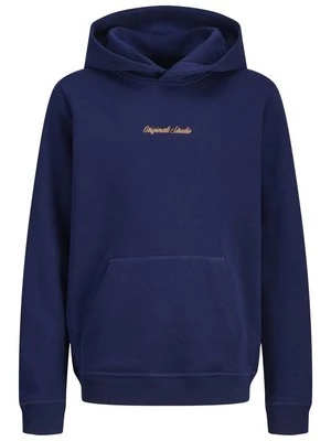 Obrázek produktu Mikina s kapucí Jack & Jones Junior