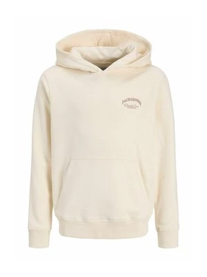 Obrázek produktu Mikina s kapucí Jack & Jones Junior