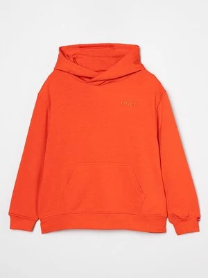 Obrázek produktu Mikina s kapucí Levi's®