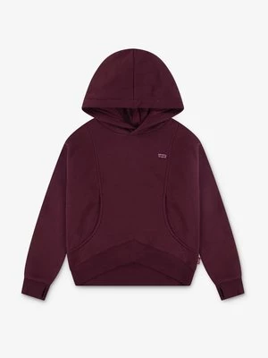 Obrázek produktu Mikina s kapucí Levi's®