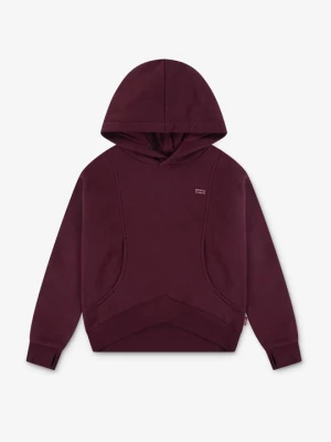 Obrázek produktu Mikina s kapucí Levi's®